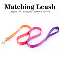 Dog Collar Leash Set