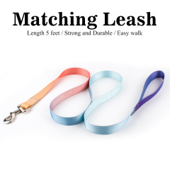 Dog Collar Leash Set