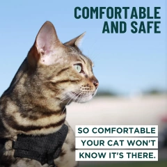 Escape Proof Cat Harness and Leash Set, Adjustable Breathable Mesh Cat Vest Harness for Walking Kitten, Medium & Large Cats