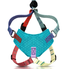Customized-Escape Proof Cat Harness and Leash Set