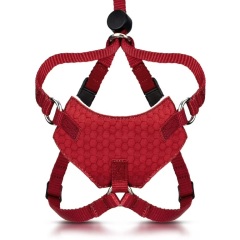 Customized-Escape Proof Cat Harness and Leash Set