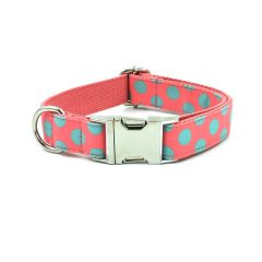 Pet dog printed collar