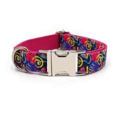 Pet dog printed collar