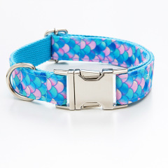 Pet dog printed collar