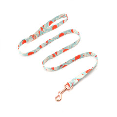 Adjustable Nylon Personalized Dog Collar
