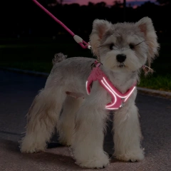 Adjustable Escape Proof Cat and Dog Harness, Lightweight Reflective Vest with Leash for Outdoor Walking, Anti-Escape Chew Proof