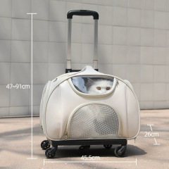 Cat bag Large capacity going out Portable bag Mesh breathable shoulder back Portable folding pet backpack