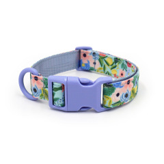dog collar