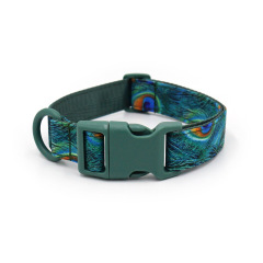 dog collar