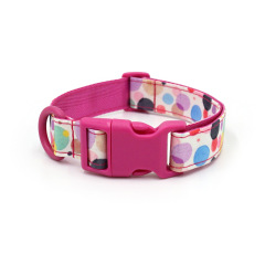 dog collar