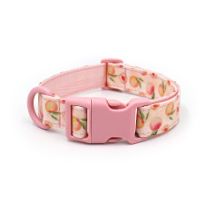dog collar