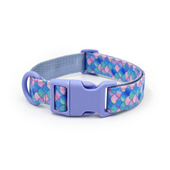 dog collar