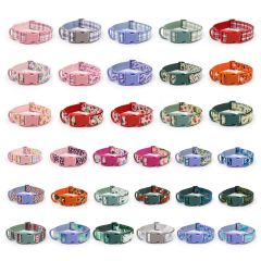 dog collar