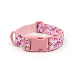 dog collar