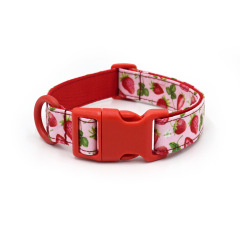 dog collar