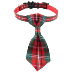cat collar