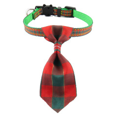 cat collar