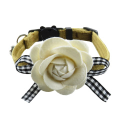 cat collar