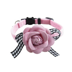cat collar