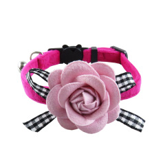 cat collar