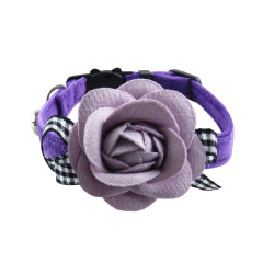 cat collar
