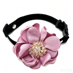 cat collar