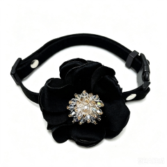 cat collar