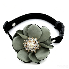 cat collar