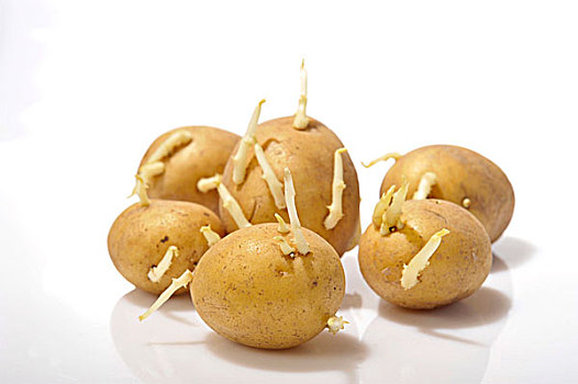 Sprouted potatoes