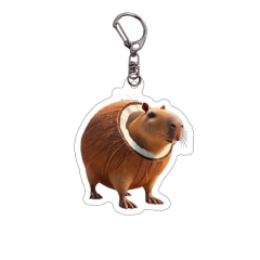 Acrylic Key Chain