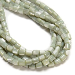 Light Green Natural Trochid Shell/Trochus Shell Smooth Barrel Beads, Approx 5x6mm, 38cm/strand