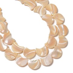 Natural Trochid Shell/Trochus Shell Smooth Moon Shaped Beads, Approx 11.5-12.5x14.5-15mm, 38cm/strand