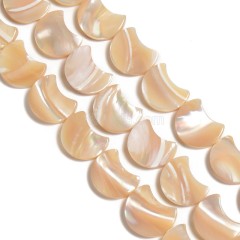 Natural Trochid Shell/Trochus Shell Smooth Moon Shaped Beads, Approx 11.5-12.5x14.5-15mm, 38cm/strand