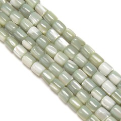 Light Green Natural Trochid Shell/Trochus Shell Smooth Barrel Beads, Approx 5x6mm, 38cm/strand