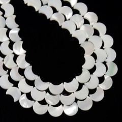 White Natural Trochid Shell/Trochus Shell Smooth Moon Shaped Beads, Approx 8.8-9x10.8-11mm, 38cm/strand