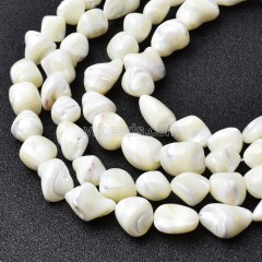 White Trochid Shell Nugget Beads Strands, Approx 10-12x10-20mm, 38cm/strand