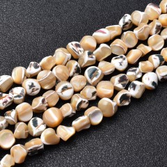Caramel Trochid Shell Nugget Beads Strands, Approx 8-10mm, 38cm/strand