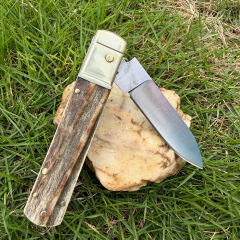 Classical Italy AKC Leverletto By Bill DeShivs OTF AUTO Knife 3.54'' D2 Blade, Natural Antlers Handles
