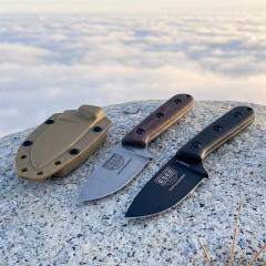 ESEE Knives Pacaya Fixed Blade Knife 3.03" D2 Drop Point Blade, G10 Handles, Kydex Sheath with Clip Plate