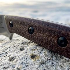 ESEE Knives Pacaya Fixed Blade Knife 3.03" D2 Drop Point Blade, G10 Handles, Kydex Sheath with Clip Plate