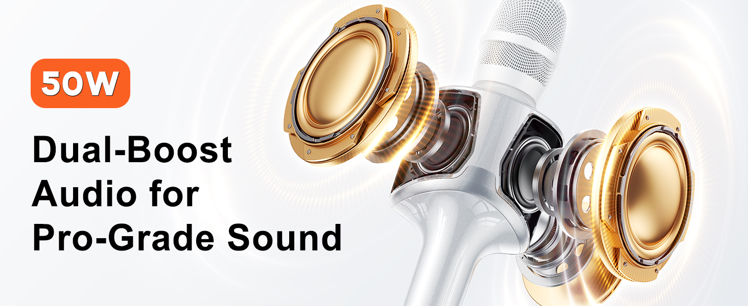 Kinglucky H100 Karaoke Microphone
