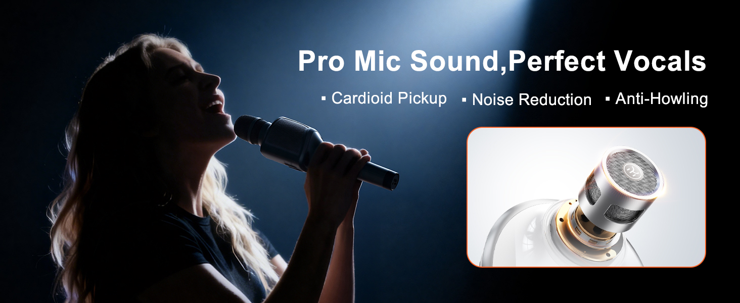 Kinglucky H100 Karaoke Microphone