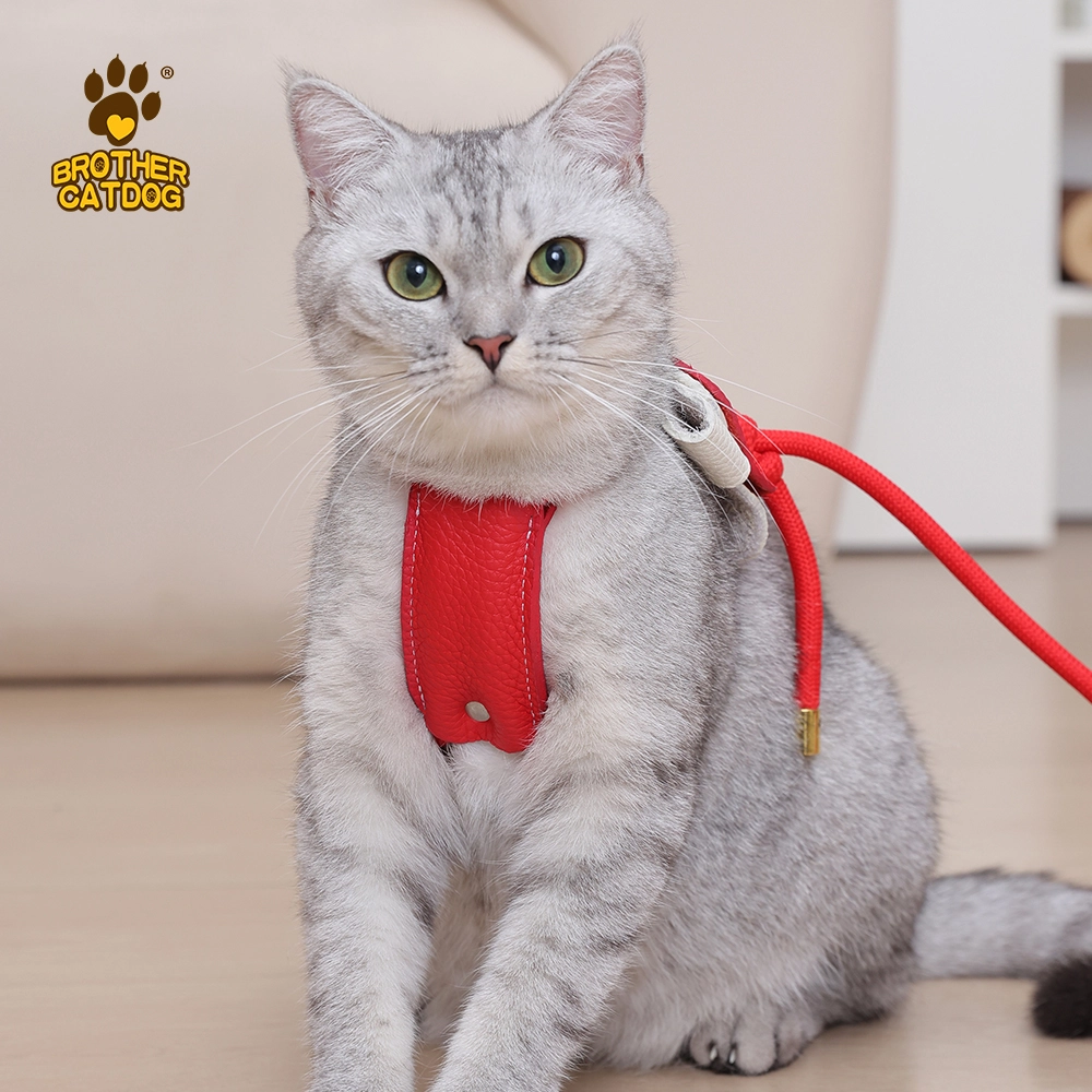 Brother Cat Dog Escape-Proof Cat Harness | Adjustable Leather Vest Harness for Walking | Secure Fit, No.8849 leather harness and leash set held by a person