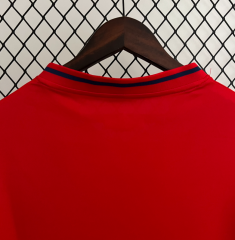 retro 2010 spain home Jersey