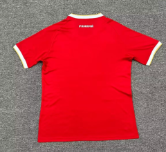 2025 Panama home soccer jersey men size s-xxl