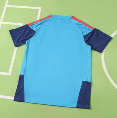 2026 spain sky blue training Jersey