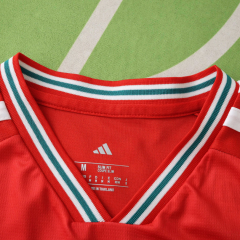 2026 wales home Jersey fans version