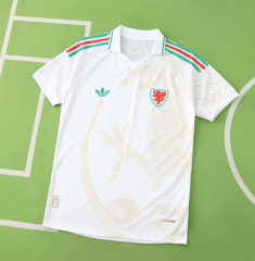 2026 wales away Jersey player version