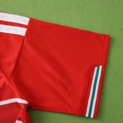 2026 wales home Jersey fans version
