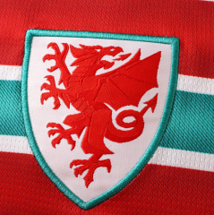 2026 wales home Jersey fans version